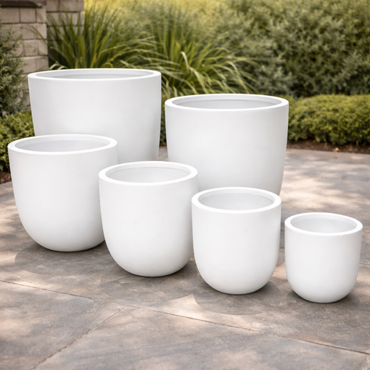 Tuscan New Egg White by The Nurso in a clear container, showcasing the light, fluffy egg whites inside.