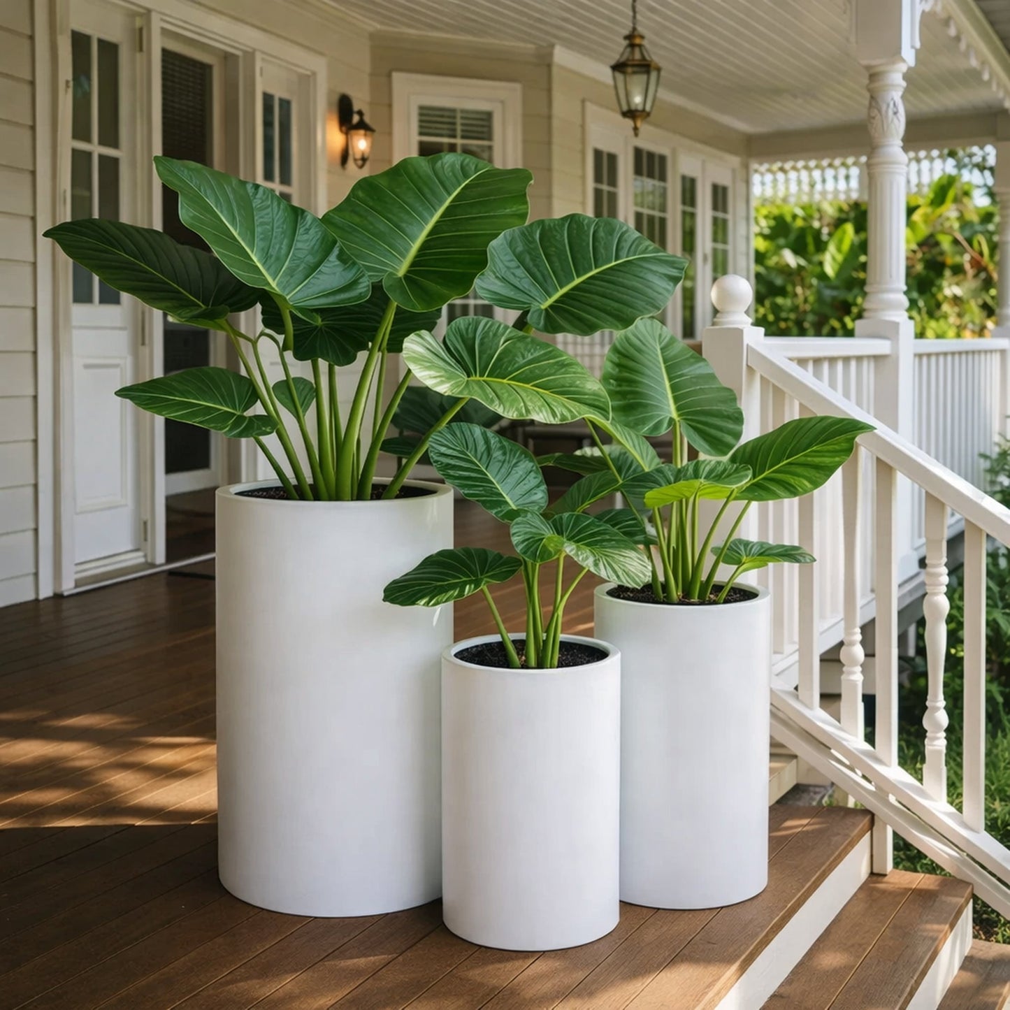 Cedar New Cylinder White