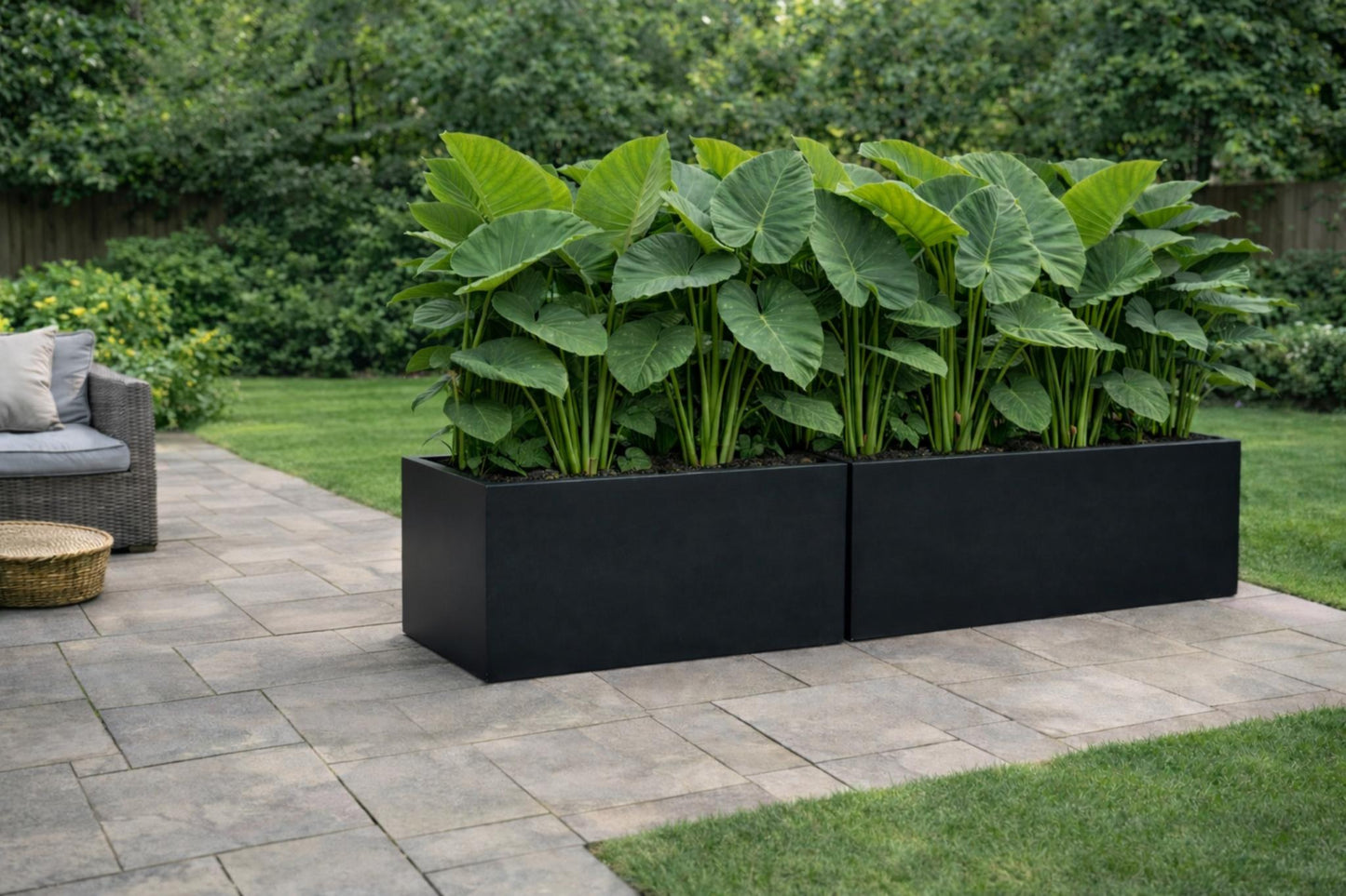 Cedar Trough Black