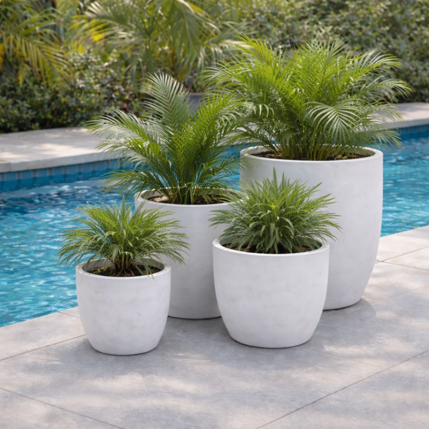 Tuscan Wide Egg White from The Nurso, showcasing a fresh, wide egg white in a clear container with a rustic wooden background.