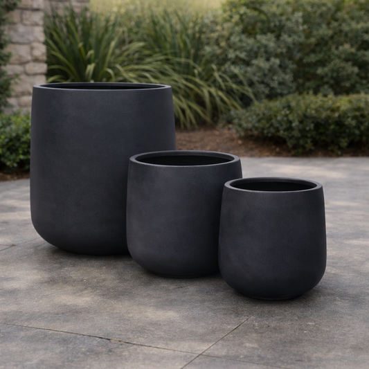 Close-up of The Nurso Tuscan Cigar Black with detailed dark brown wrapper and band, showcasing its luxurious appearance.