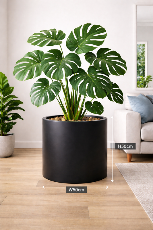 Black cedar cylinder pot with a smooth finish, measuring 23cm in diameter and height, ideal for indoor or outdoor plants.