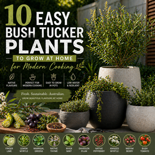 10 Easy Bush Tucker Plants to Grow at Home for Modern Cooking