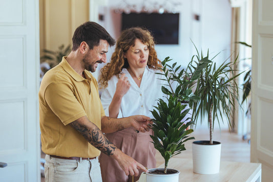 Why Plants and Pots Are a Better Valentine’s Day Gift Than Flowers