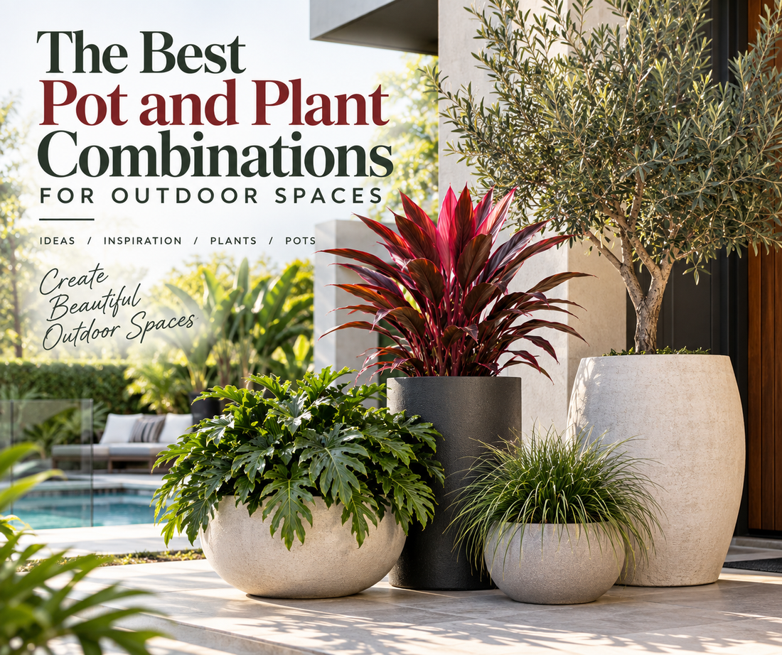 The Best Pot and Plant Combinations for Outdoor Spaces