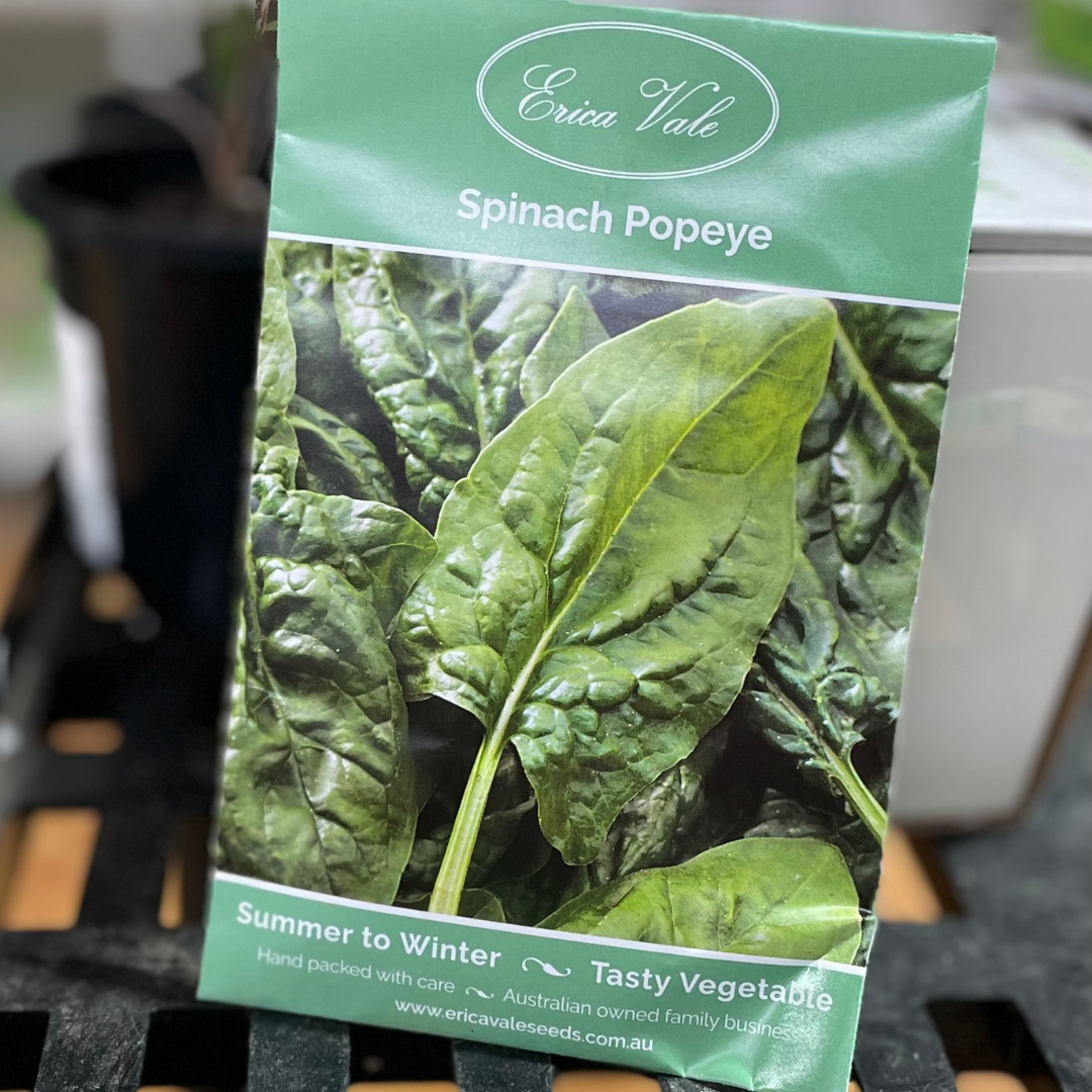 Winter Veggies to Enjoy at Home