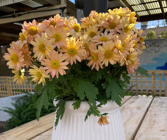 Three Helpful Tips for Spring Gardening