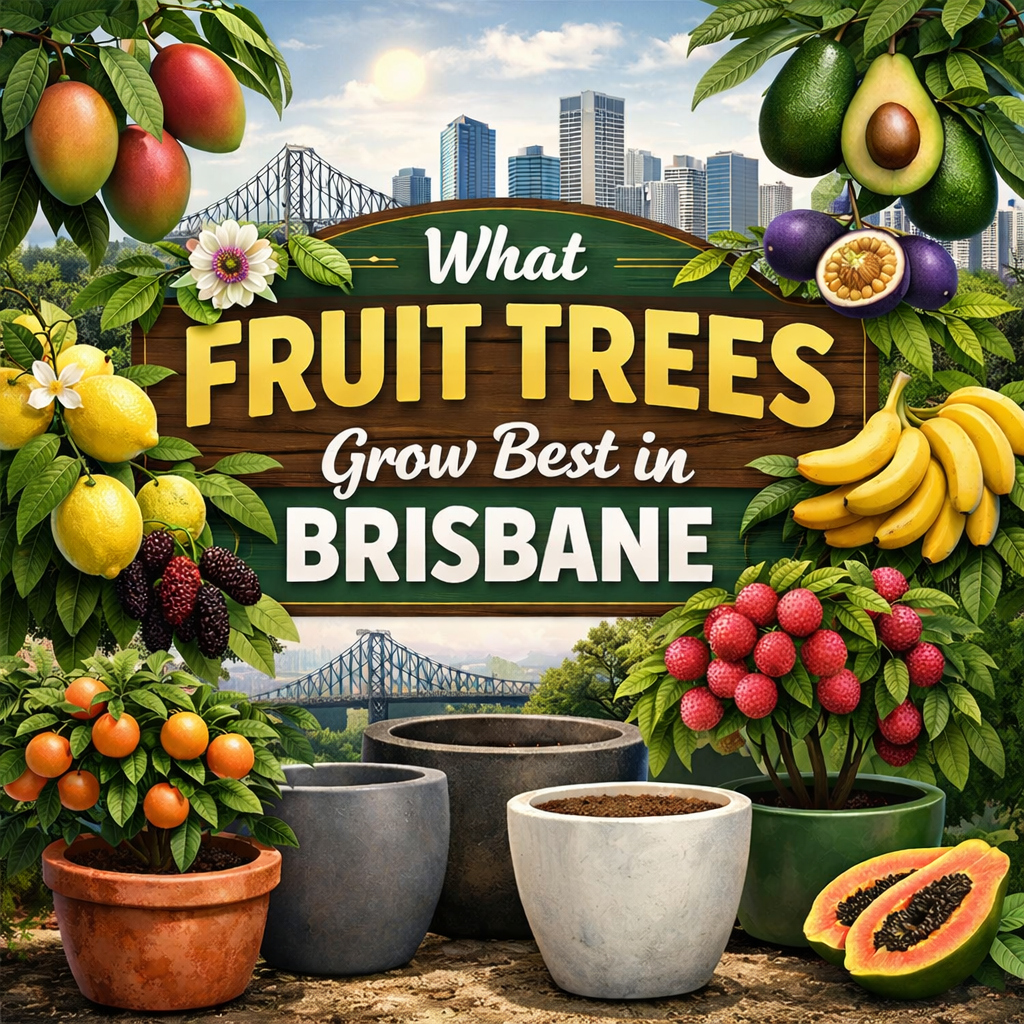 What Fruit Trees Grow Best in Brisbane