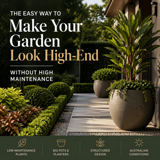 The Easy Way to Make Your Garden Look High-End Without High Maintenance