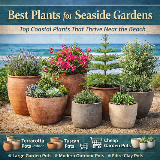 Best Plants for Seaside Gardens: Top Coastal Plants That Thrive Near the Beach