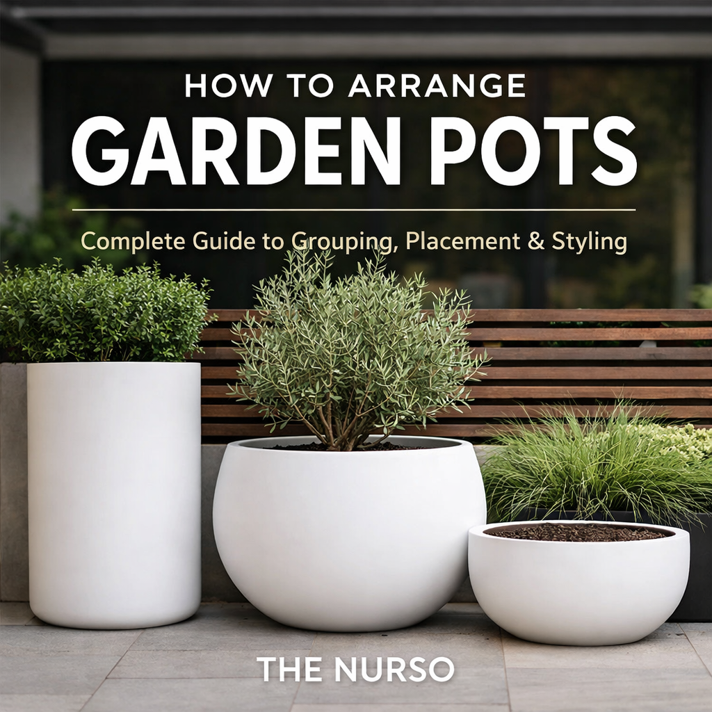 How to Arrange Garden Pots (Complete Guide to Grouping, Placement and Styling)