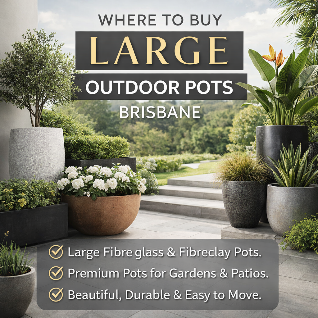 Where to Buy Large Outdoor Pots Brisbane