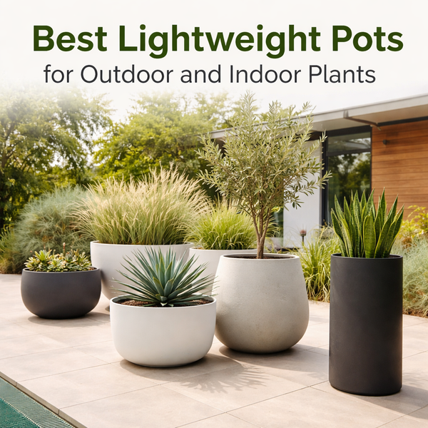 lightweight pots brisbane