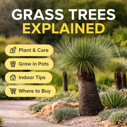 grass tree with txt about blog