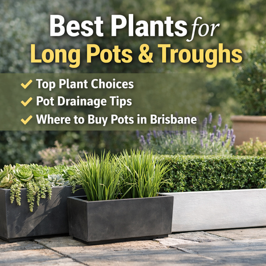 trough pots with plants 