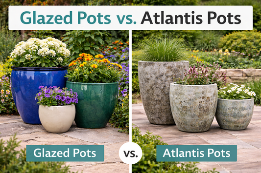 What Is the Difference Between Glazed Pots and Atlantis Pots?