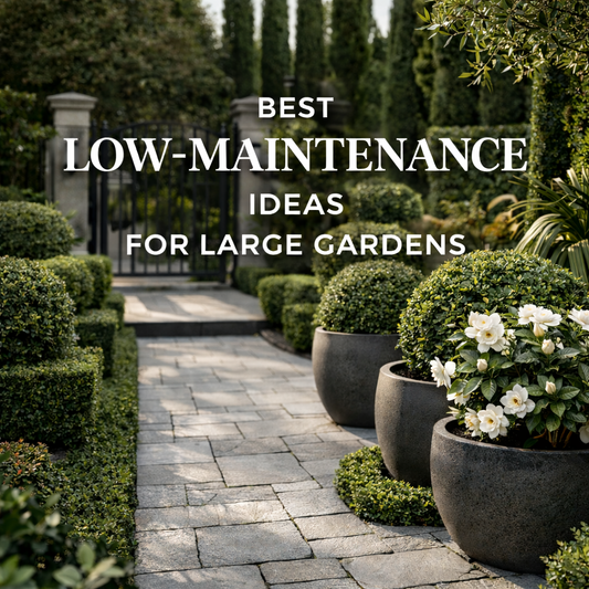 Best Low-Maintenance Ideas for Large Gardens