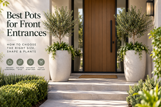 Best Pots for Front Entrances: How to Choose the Right Size