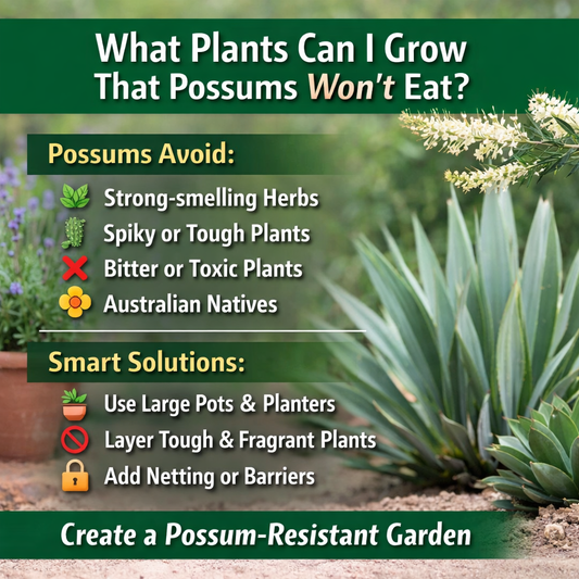 What Plants Can I Grow That Possums Won’t Eat? (In-Depth Australian Guide)