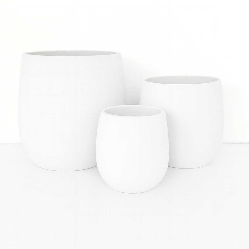 Cedar New Cigar White