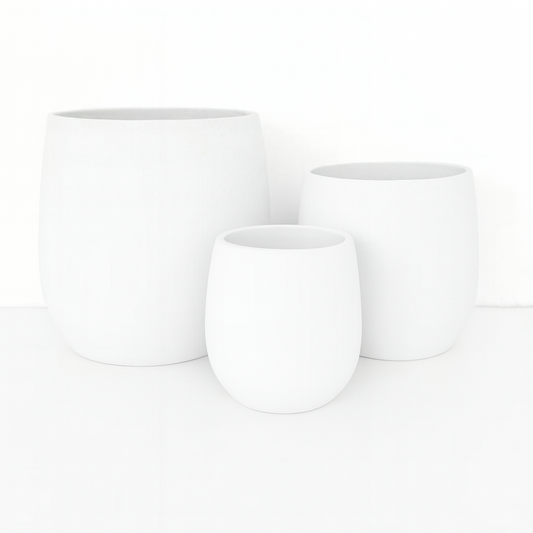 Cedar New Cigar White