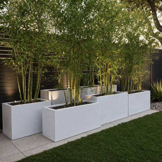 White cedar trough with bamboo planters in a minimalist garden setting, showcasing modern outdoor decor and natural wood accents.