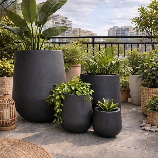Black Senera Belly Cigar Pot featuring a sleek design, ideal for cigar storage and display.