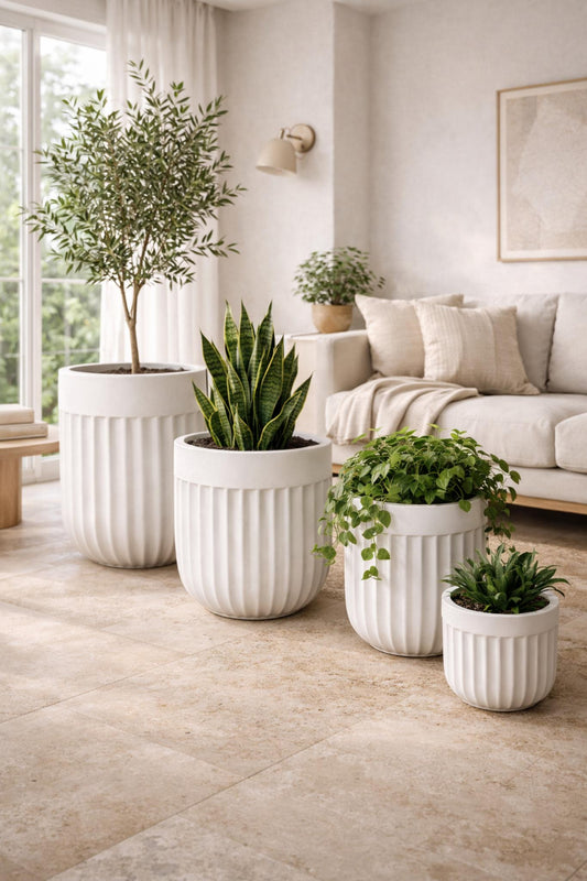 Tuscan Ribbed Egg White