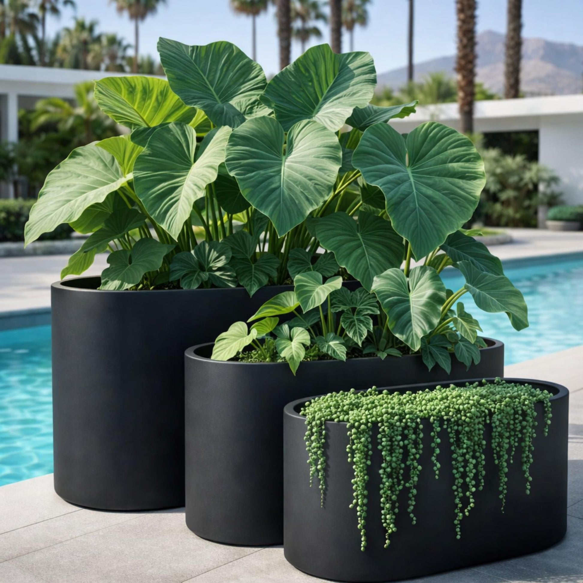 Black Tuscan Round Trough by The Nurso, a sleek outdoor trough with a smooth, rounded design for garden or patio use.