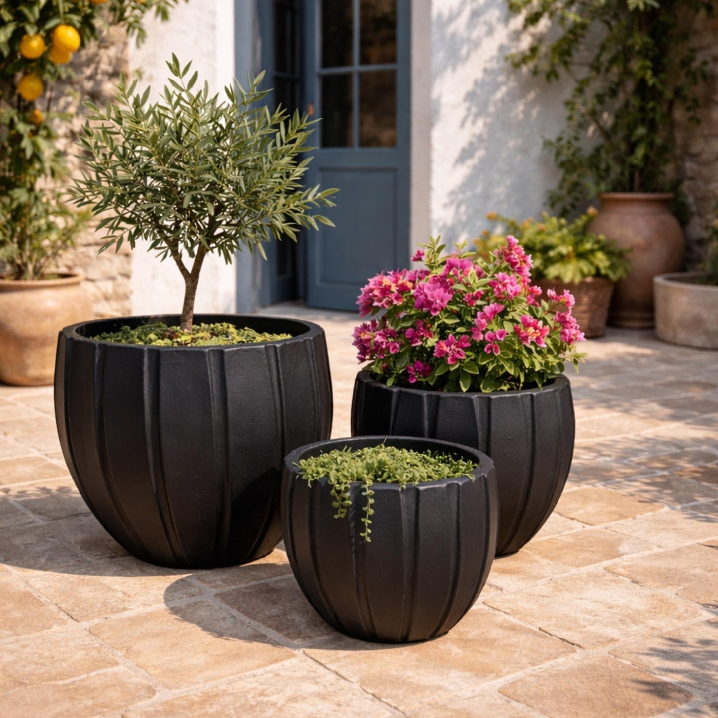 Tuscan squat carve pot in black, showcasing its sturdy design and smooth finish, ideal for cooking and serving.