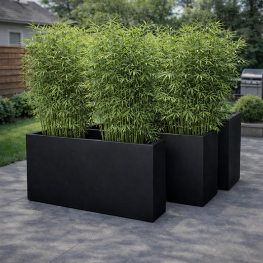 Black Tuscan Trough sink by The Nurso featuring a sleek, rectangular design with smooth edges and a modern finish.