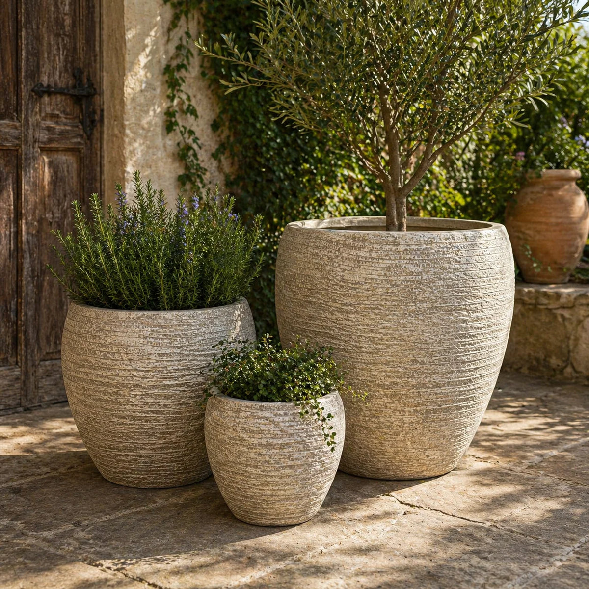 Senera Tall Belly Egg Tex Desert Fibreclay Outdoor Pot | Garden Planter