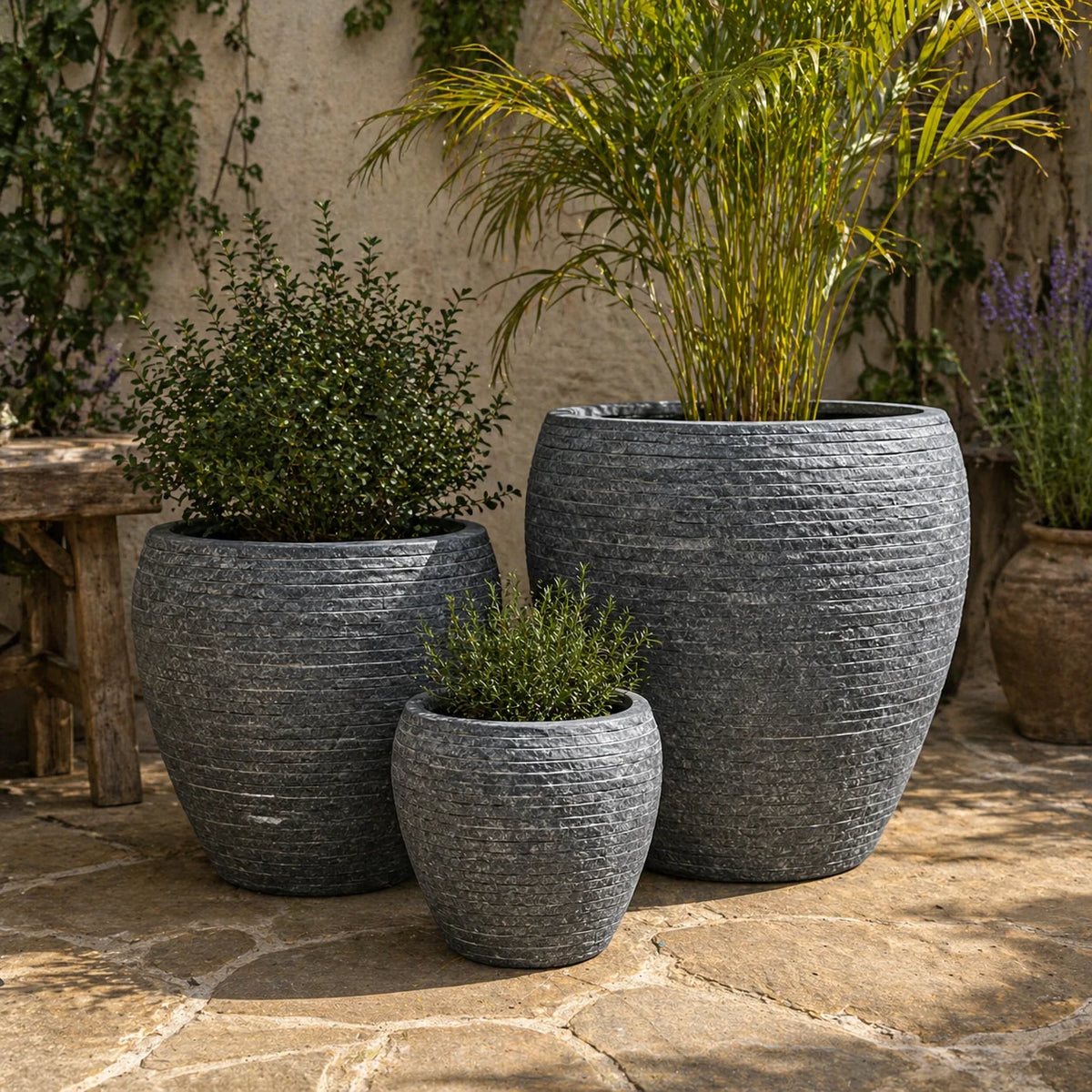 Senera Tall Belly Egg Tex Graphite Fibreclay Outdoor Pot | Garden Planter
