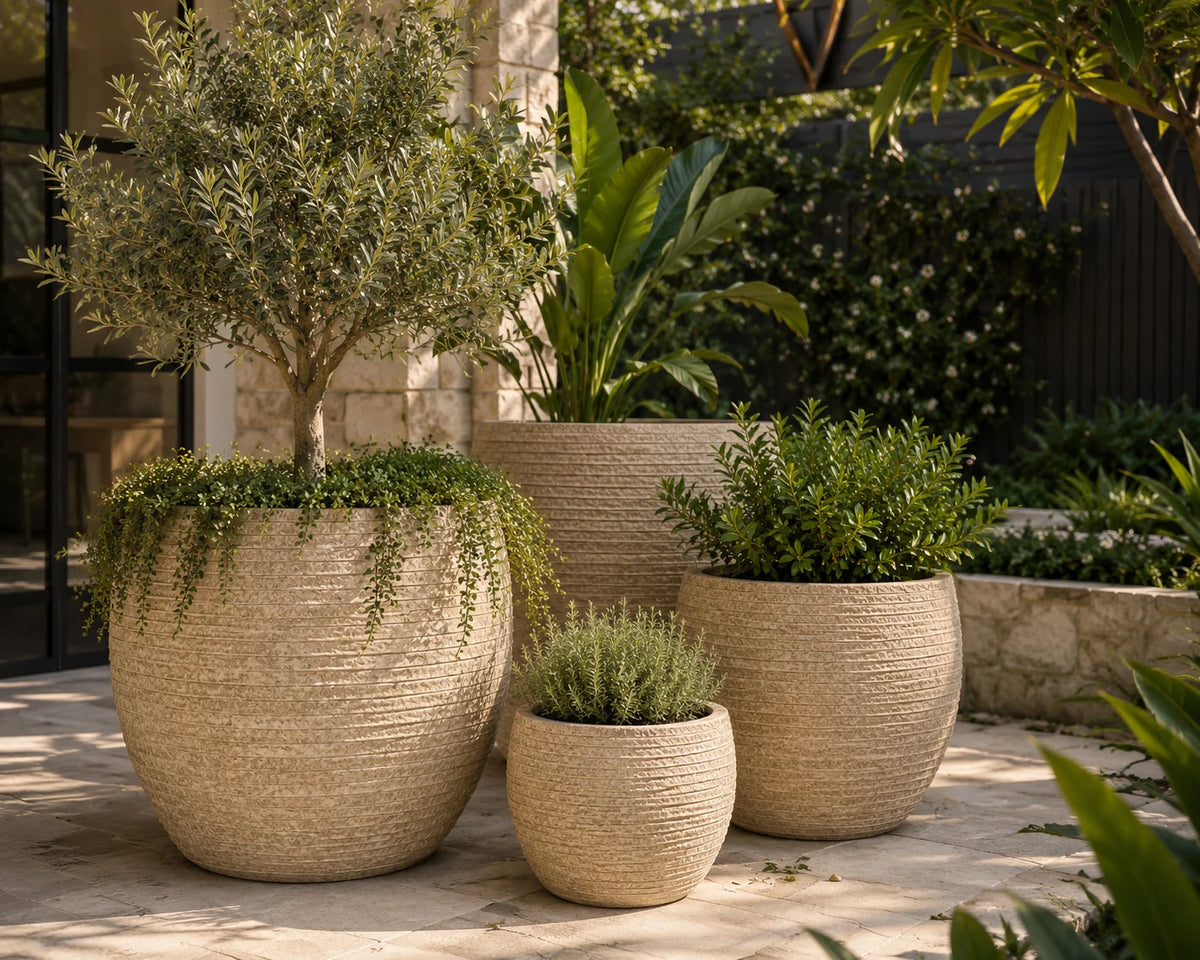 Senera Belly Egg Tex Desert Fibreclay Outdoor Pot | Garden Planter