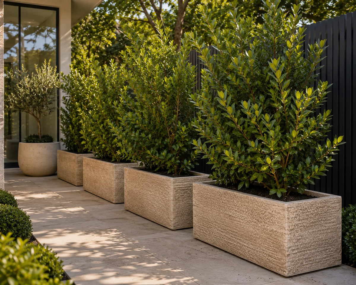 Senera Trough Tex Desert Fibreclay Outdoor Pot | Garden Planter