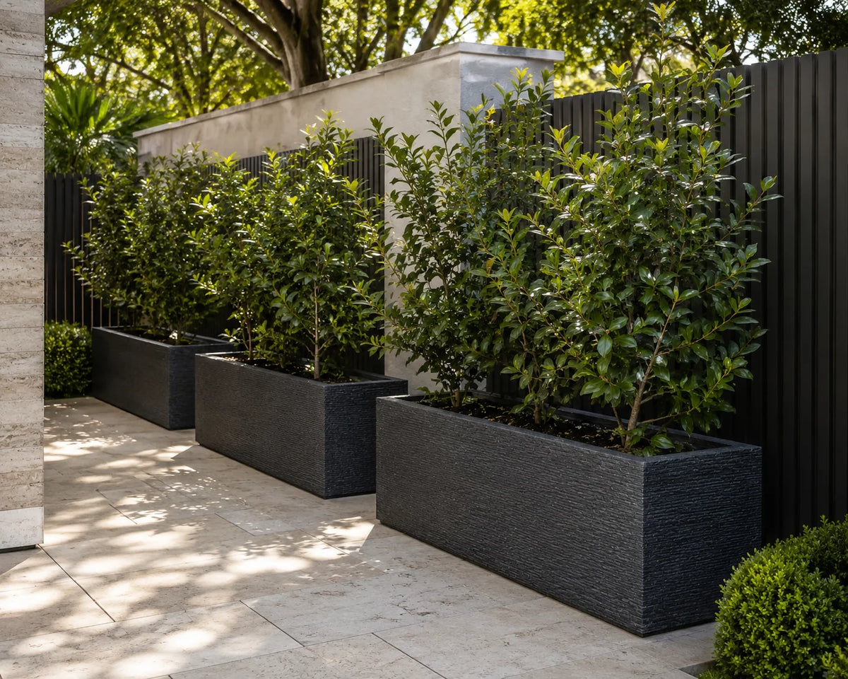 Senera Trough Tex Graphite Fibreclay Outdoor Pot | Garden Planter