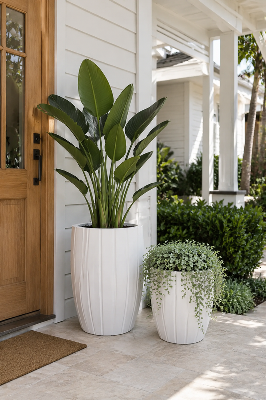 Tuscan Carve Pot White