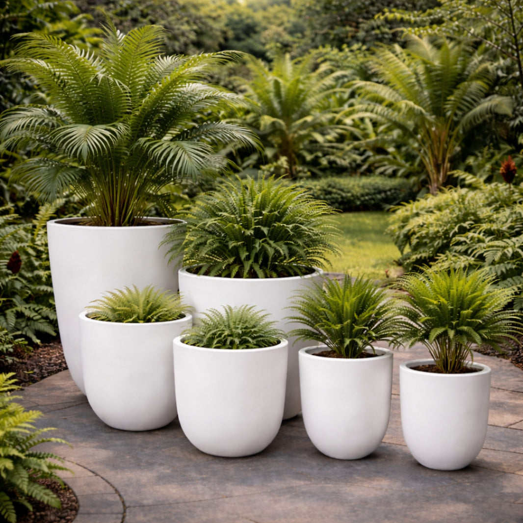Fibreclay Pots – The Nurso