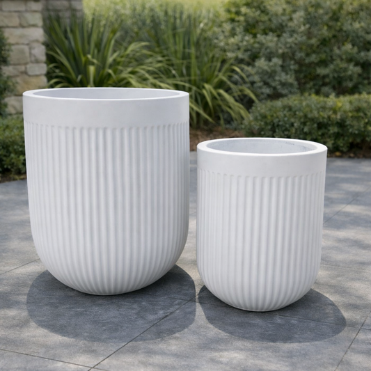 Tuscan Ribbed Belly White