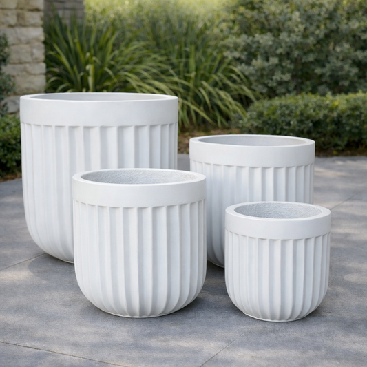 Tuscan Ribbed Egg White