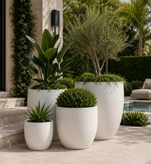Tuscan Wide Egg Pot White