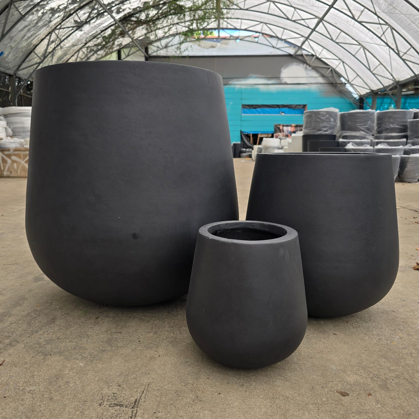 Senera Belly Cigar Black