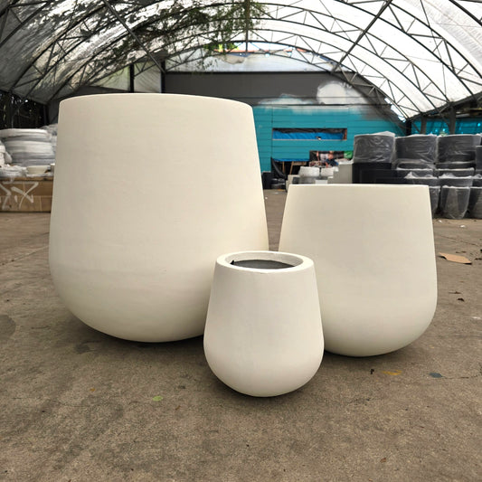 Senera Belly Cigar White