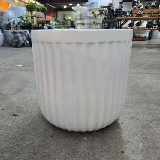 Cedar Ribbed Egg White