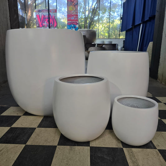 Cedar New Cigar White