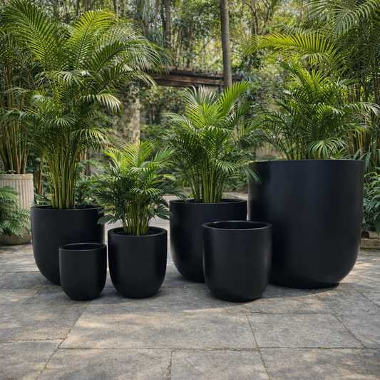 Black cedar egg from The Nurso, featuring smooth dark wood texture and rounded shape, suitable for decorative or craft use.