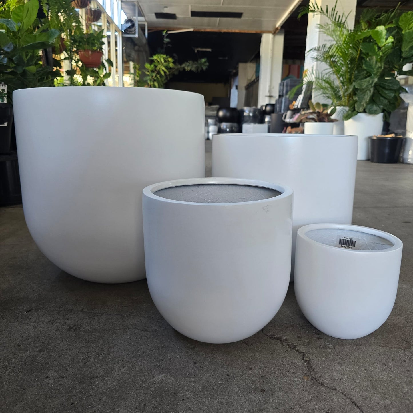 White cedar egg pot with a smooth finish, measuring 20cm in diameter and height, designed for cooking and serving eggs.