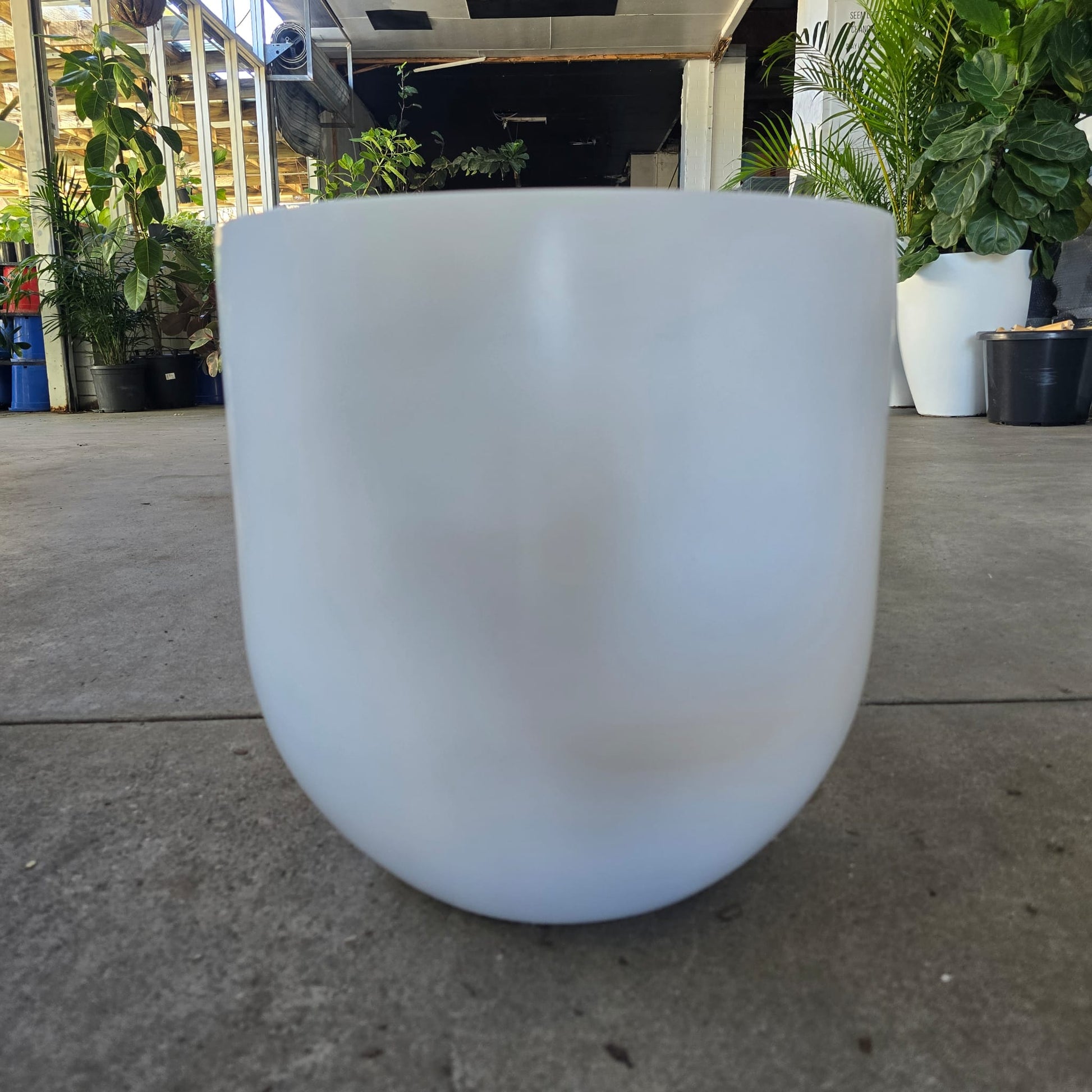 White Cedar Egg Pot with a smooth finish, 20cm size, ideal for cooking and serving eggs in a stylish kitchen setting.