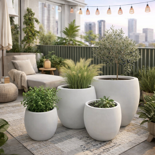 Senera Belly Egg White from The Nurso, 23cm by 20cm, soft foam belly support cushion for pregnancy comfort.