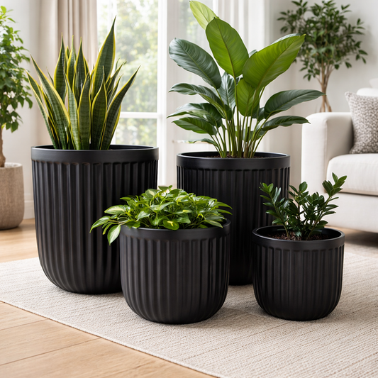 Black cedar ribbed egg from The Nurso, smooth textured wooden sculpture with a sleek, rounded shape.